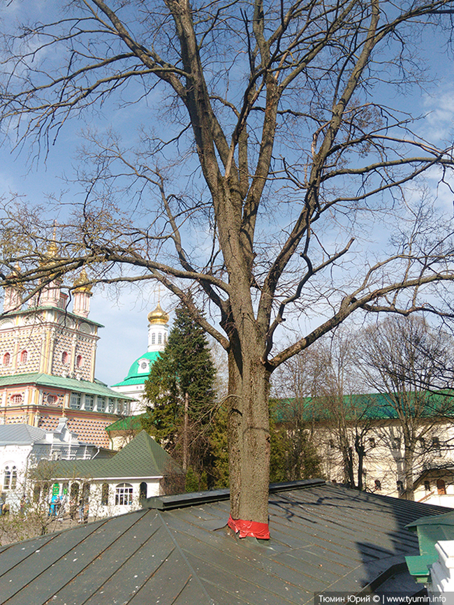 Сергиев Посад - Моё, Архитектура, Путешествия, Фотография, Религия, Длиннопост