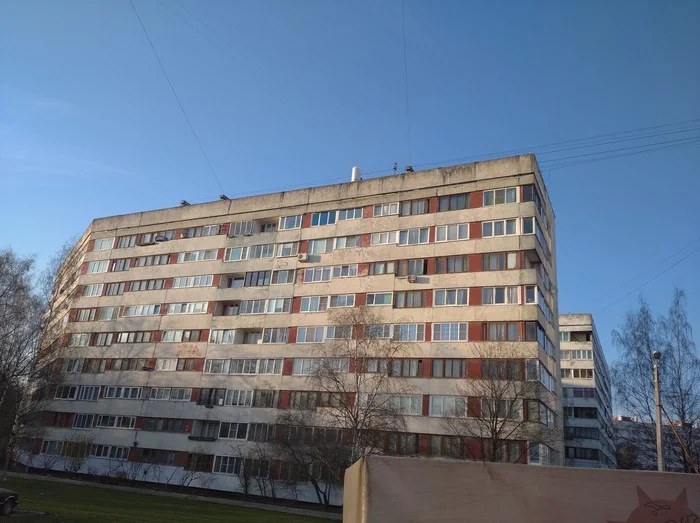 What is this - My, Unknown crap, Roof, Saint Petersburg, Prospekt Veteranov