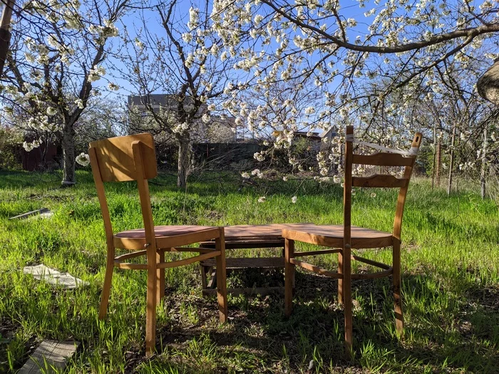 From the life of two old chairs - My, Mobile photography, Nature, Dacha, The photo, Longpost