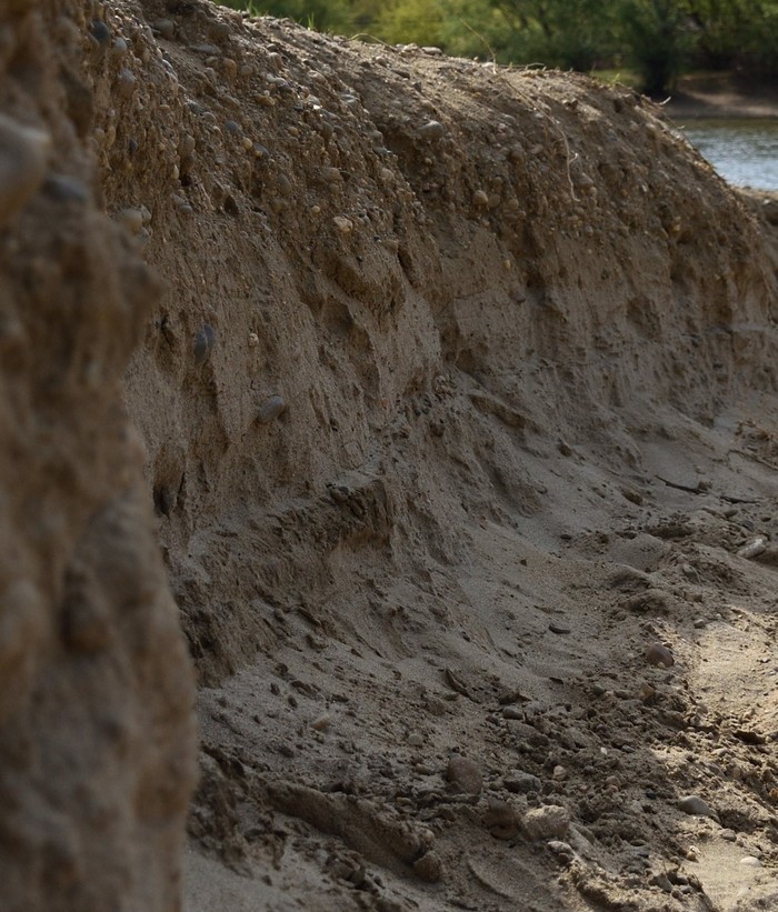 ����������