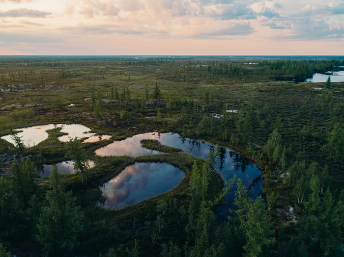 Просторы лесотундры - Моё, Россия, Пейзаж, Сибирь, Ямал, DJI, Дрон, Квадрокоптер