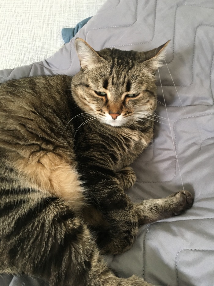 ����� ��� �� ������. �� ��� �������