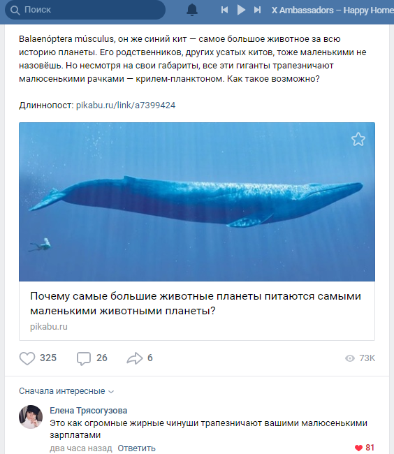 Сравнение чинуш и китов