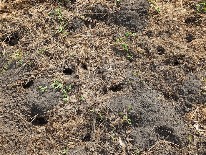         . &quot;   ,  &quot;