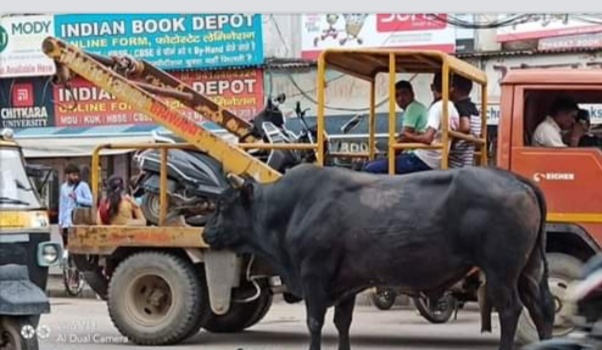 India from the inside - My, India, Living abroad, Work abroad, Traditions, People, Longpost, The photo, Children