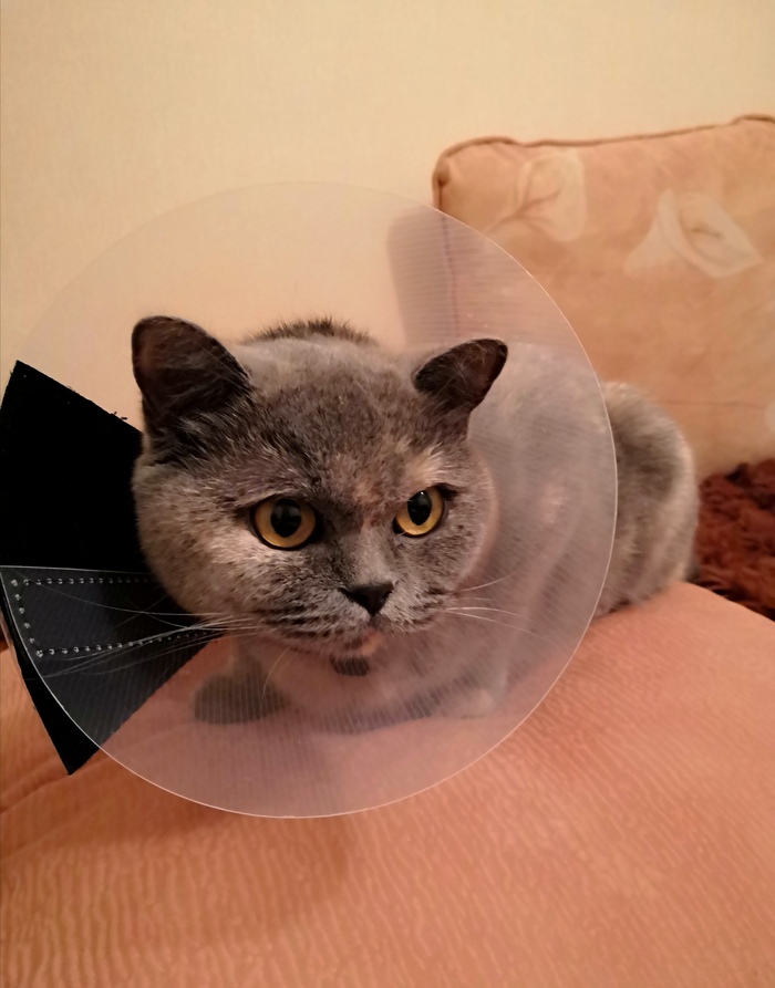   -! -, ,  , , , 