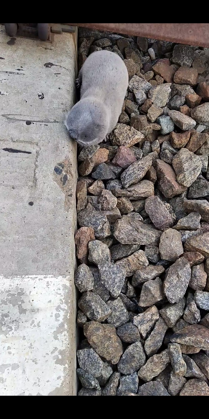        , , 