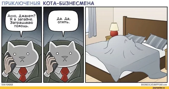 В западне - Кот, Бизнес, Приключения, Западня, Комиксы, Business Cat