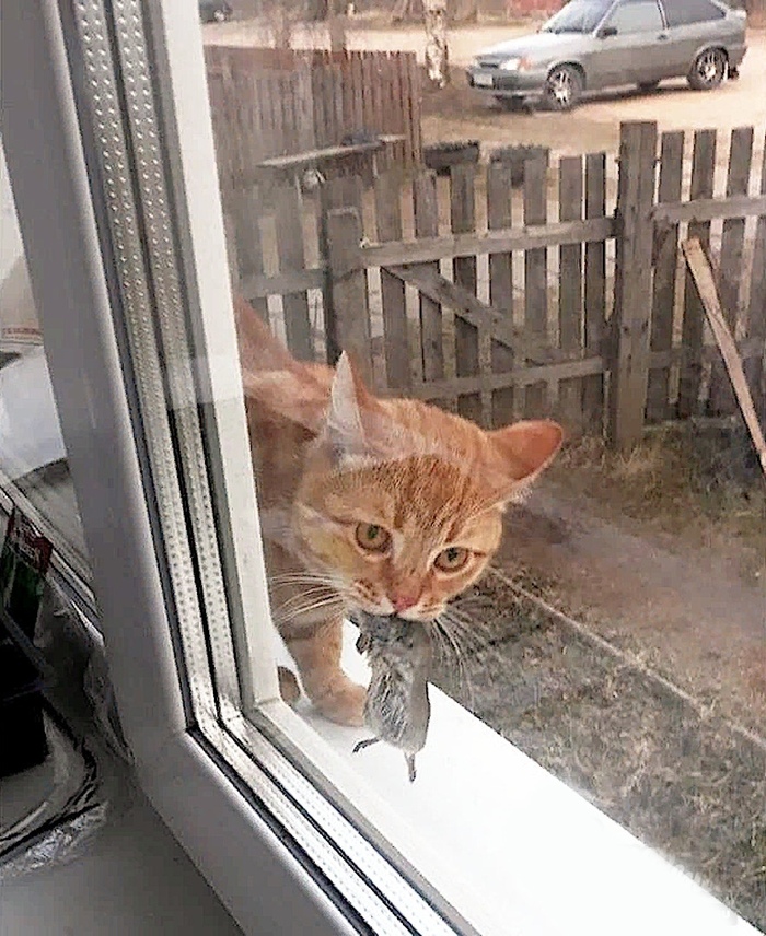 �������� ����������?