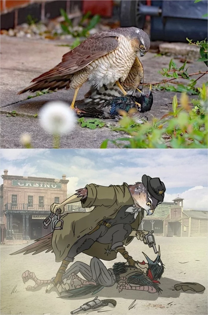 Very cool drawing - Sheriff, Birds, Wild West
