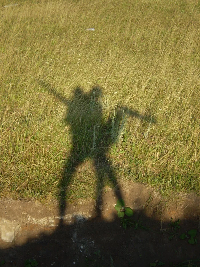 The post could not pass by the first dandelions recalled - NSFW, Photo on sneaker, Grass, Silhouette, Longpost, Shadow