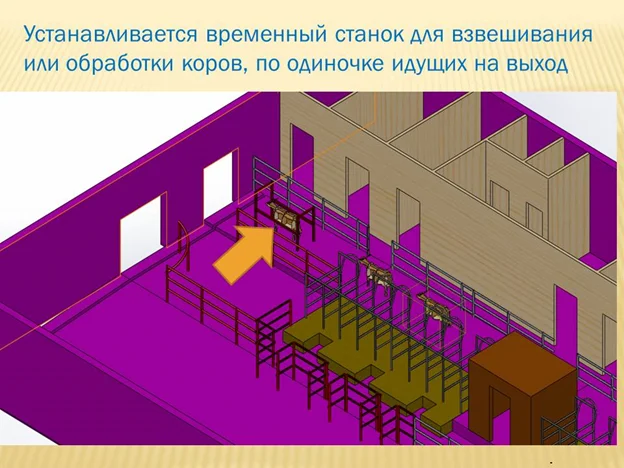 Советы по использованию доильного зала турникет - Моё, Ферма, Фермер, Строим ферму, Проект фермы, Видео, Длиннопост