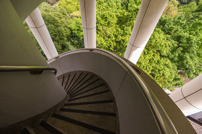 Чудный парк в Гонконге Гонконг, Путешествия, Люди, Фотография, Длиннопост Чудный парк в Гонконге Гонконг, Путешествия, Люди, Фотография, Длиннопост