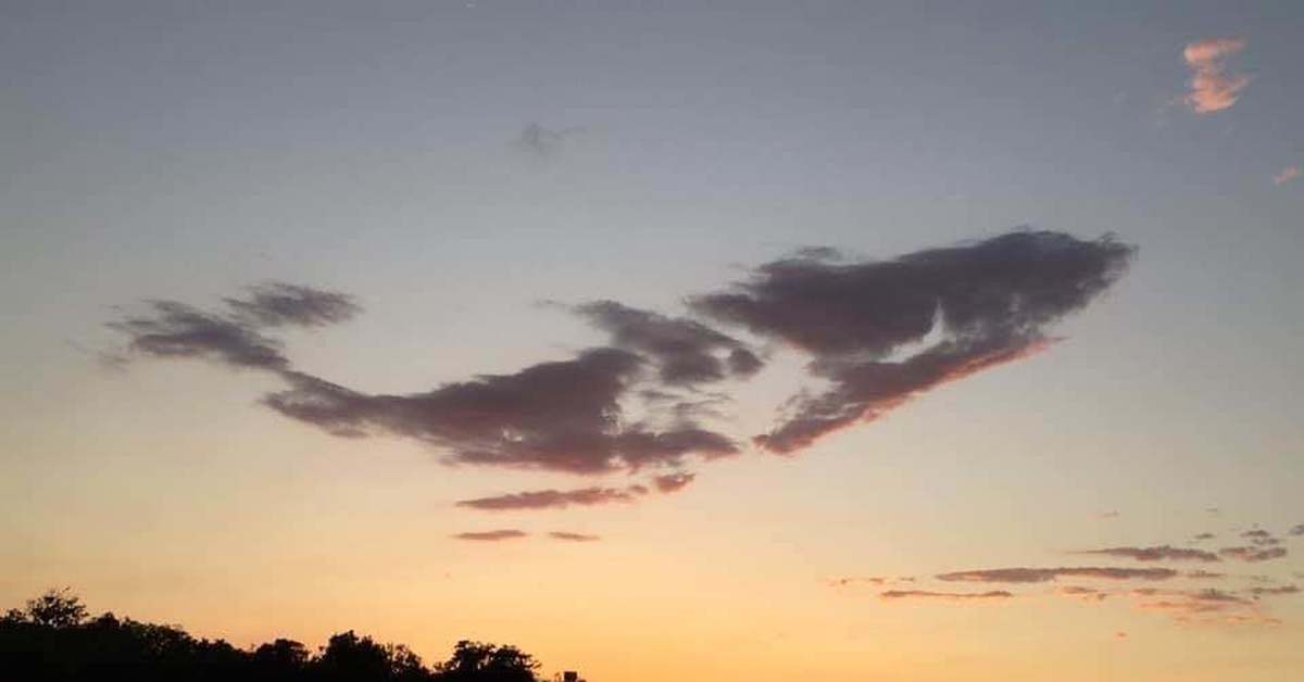 Подобно туче. На что похоже облако. Облако похожее на дракона. Облака похожие на животных. Облака похожие на рыб.