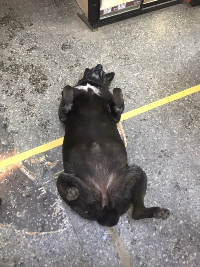 ���� � �������