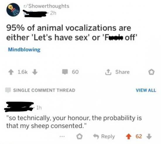 Incendiary comment - Sheeps, Animals, Voice, Agreement, Comments, Sex, Screenshot