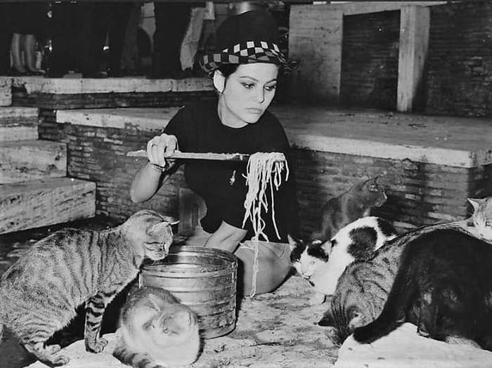 Spaghetti for cats - Italy, cat, Claudia Cardinale