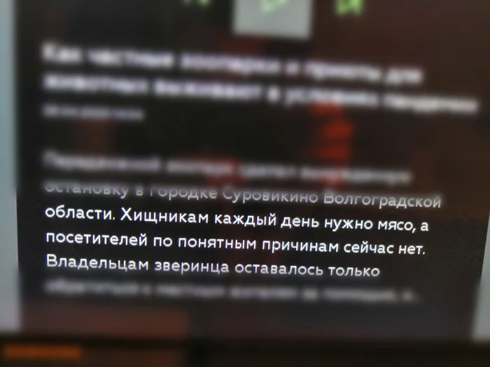 Хищникам нужно мясо... - Моё, Зоопарк, Животные, Мясо, Посетители, НТВ