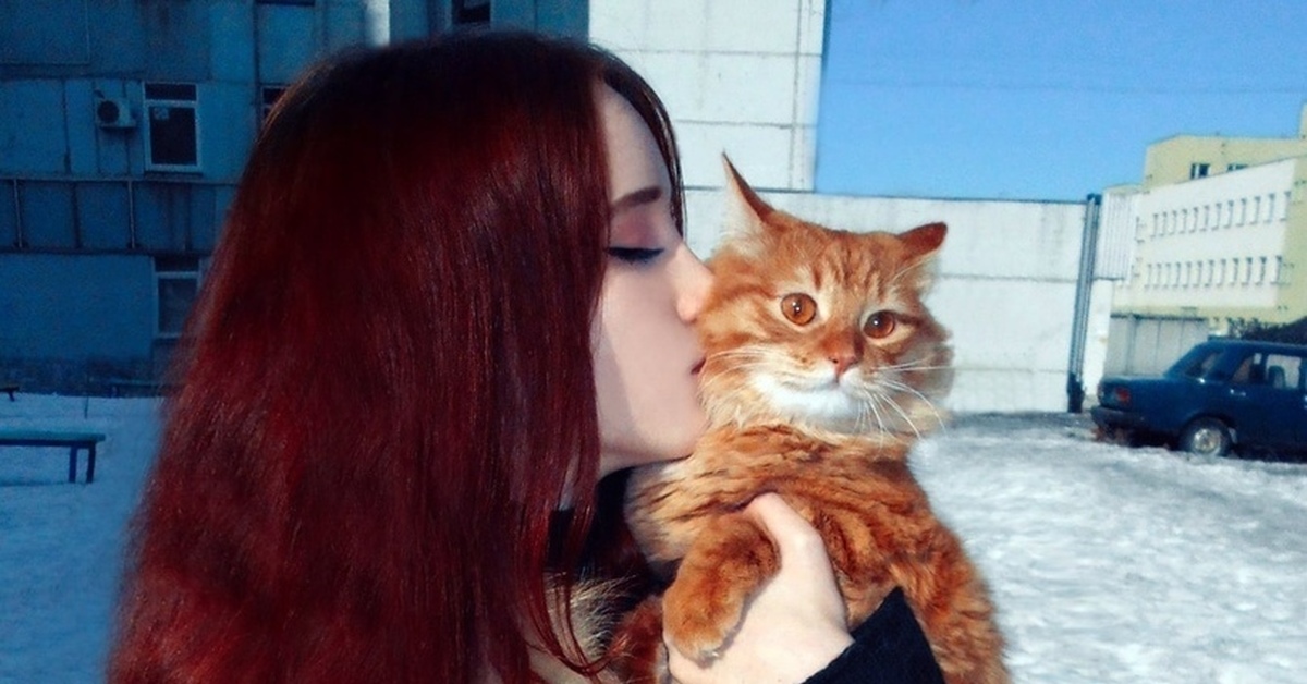 Рыжая картинка прикольные. Девушка с рыжим котом. Рыжая девушка с кошкой. Рыжая девушка с рыжим котом. Рыжеволосая девушка с котом.