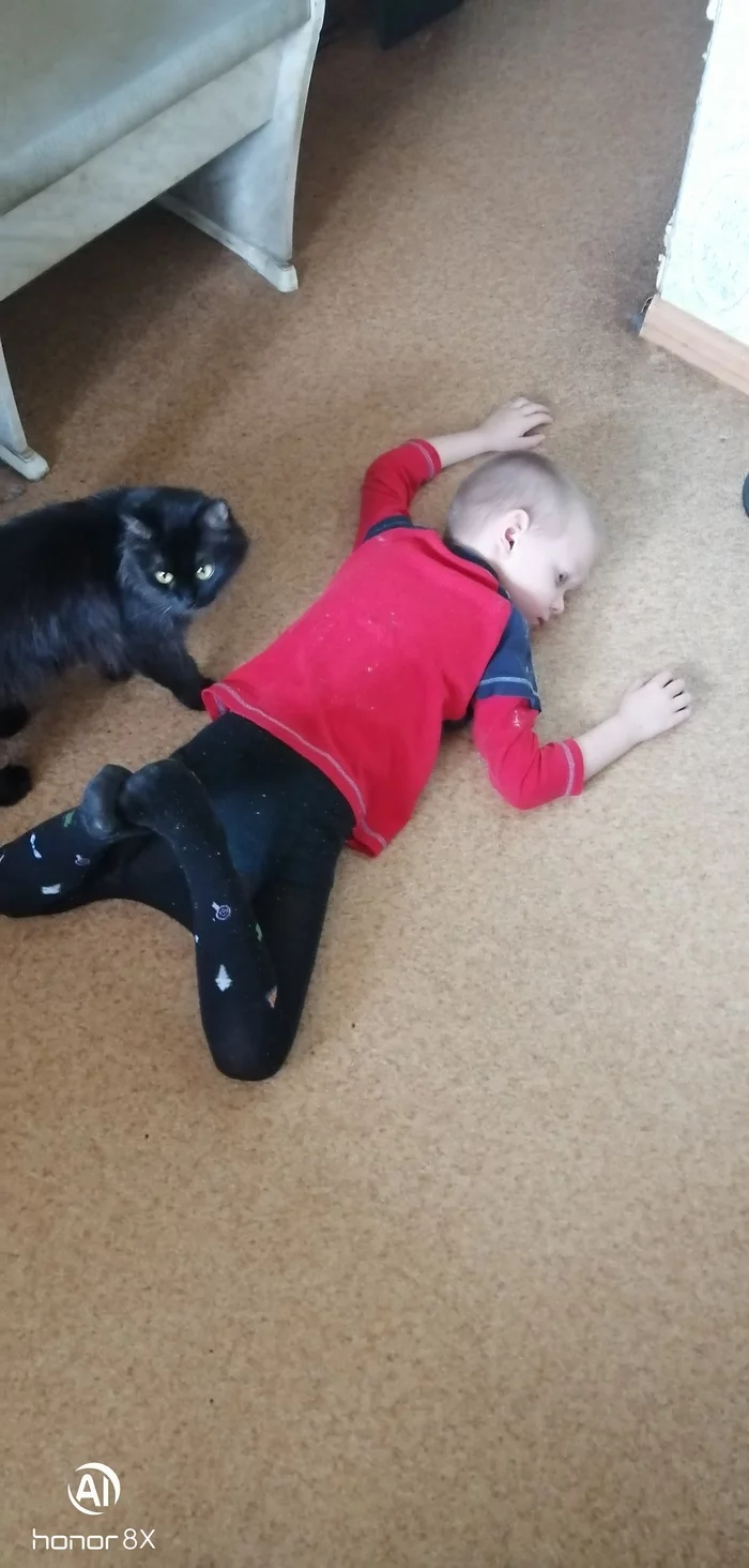 Self-isolation - My, cat, Self-isolation, Children, Black cat