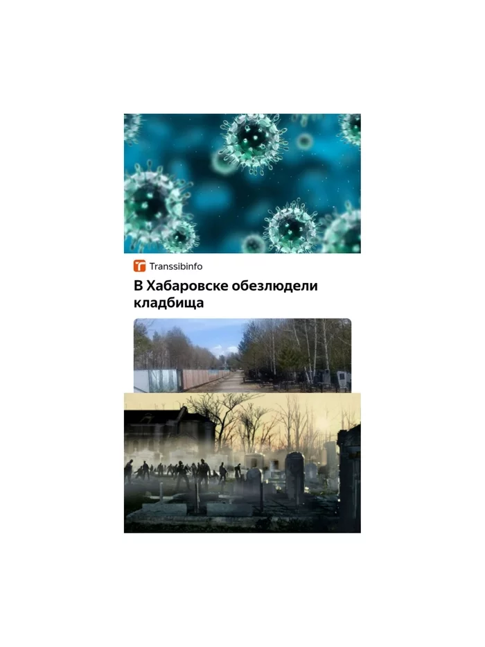 Began? - My, Khabarovsk, news, Cemetery, Virus