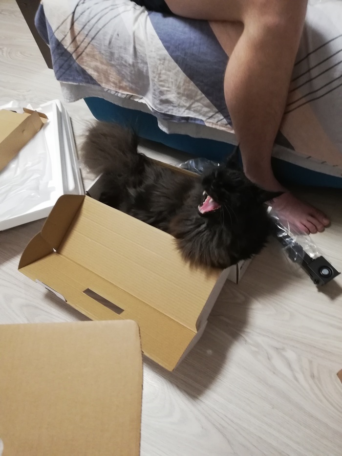 ����� ������� ������� ����