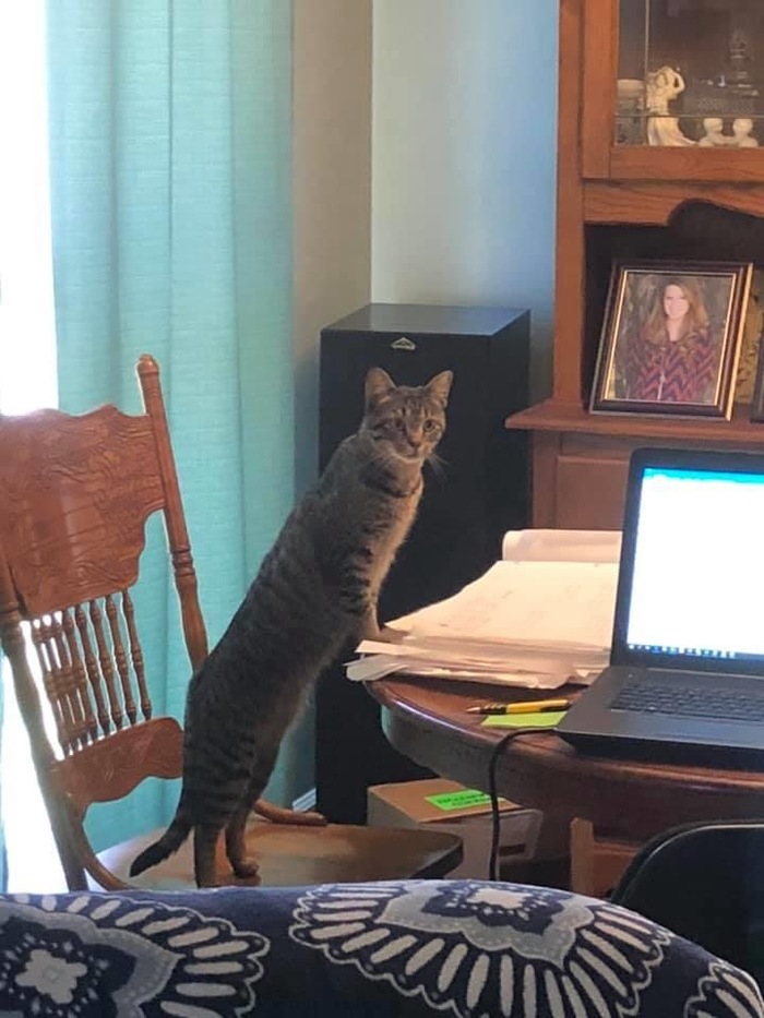 Так, почему отчёт не готов?!