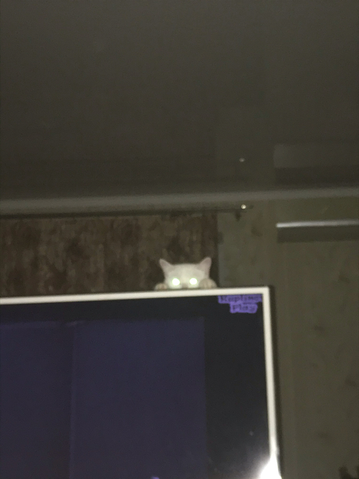 ������, �� ��� ��� ������ �� ����