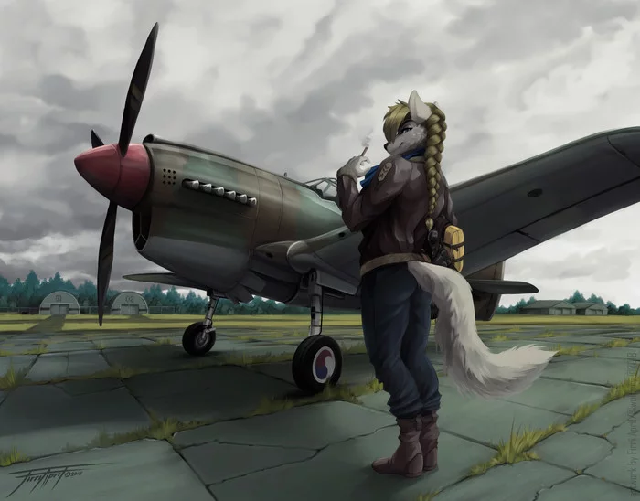 Skies - Furry, Art, Furry fox, Aerodrome, Airplane, Firri April