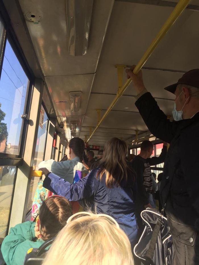 Эффективные меры по самоизоляции )))