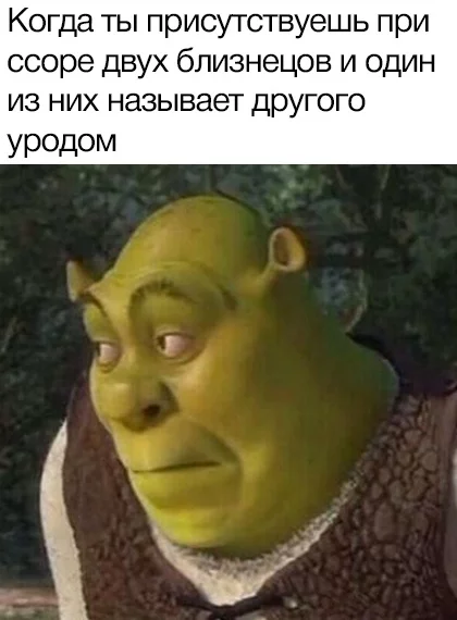 It was awkward - Twins, Argument, Insult, Shrek, Memes, Picture with text