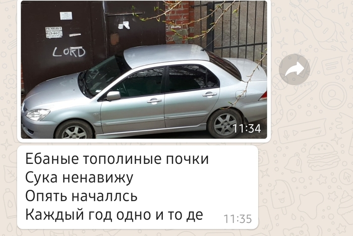 Весна идет, весне дорогу