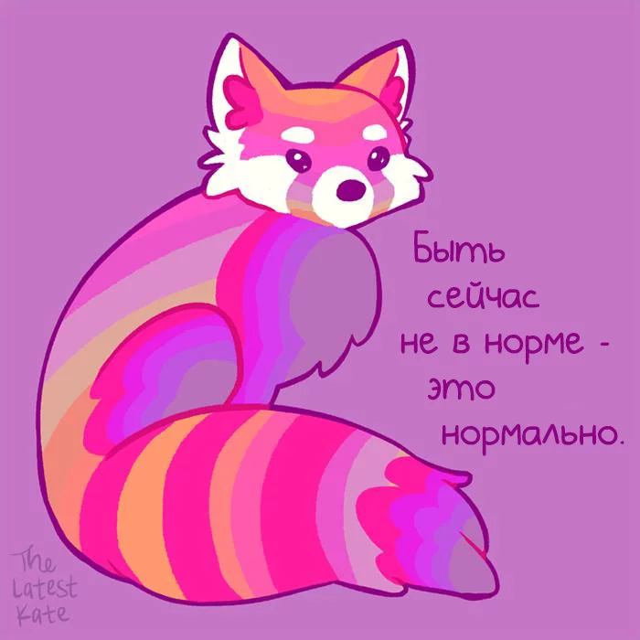 1588156255137258332.webp