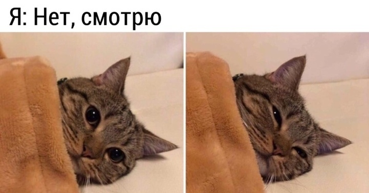 Я смотрю