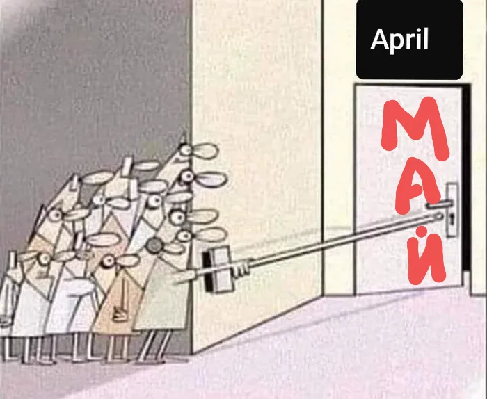 The survivors move on to May! - May, Survived, 2020