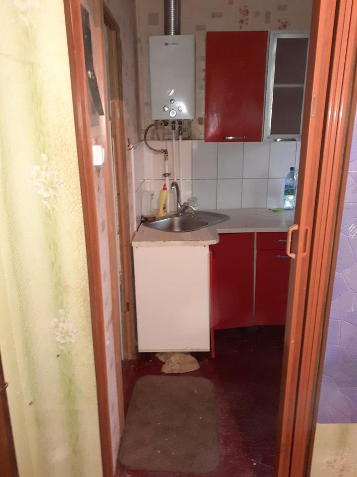 Кот или тряпка?