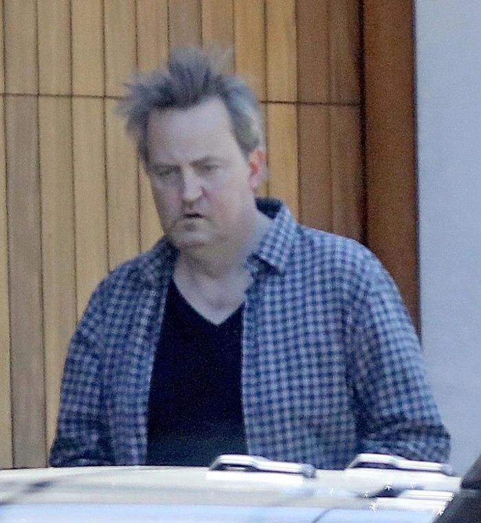 Matthew Perry left the house - Matthew Perry, Friends, Hollywood, Longpost