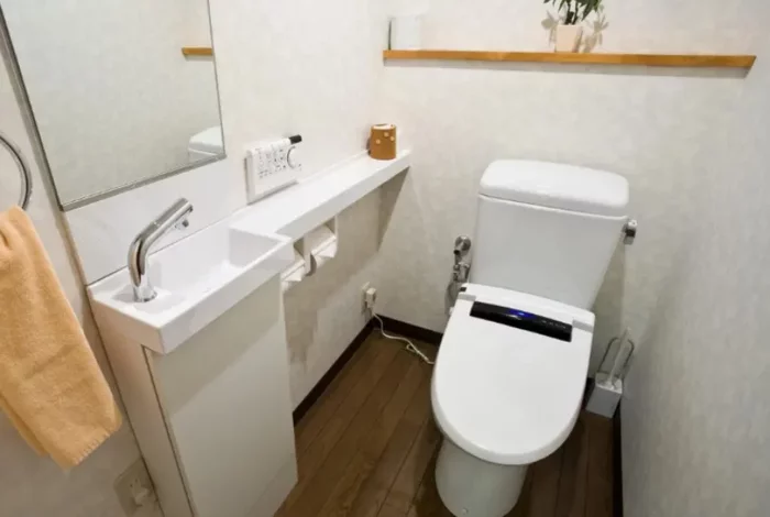 Toilet with cameras and sensors - My, Toilet, Development of, Clever, Smart House, Cyberpunk, Laboratory, Diagnostics, Analysis