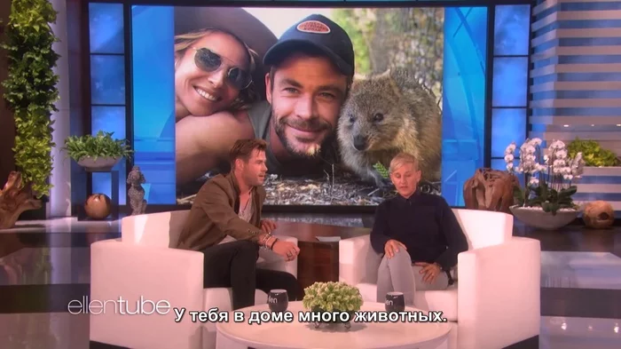 Chris Hemsworth and his pets - Chris Hemsworth, Actors and actresses, Celebrities, Storyboard, Ellen DeGeneres, The Ellen DeGeneres Show, Longpost