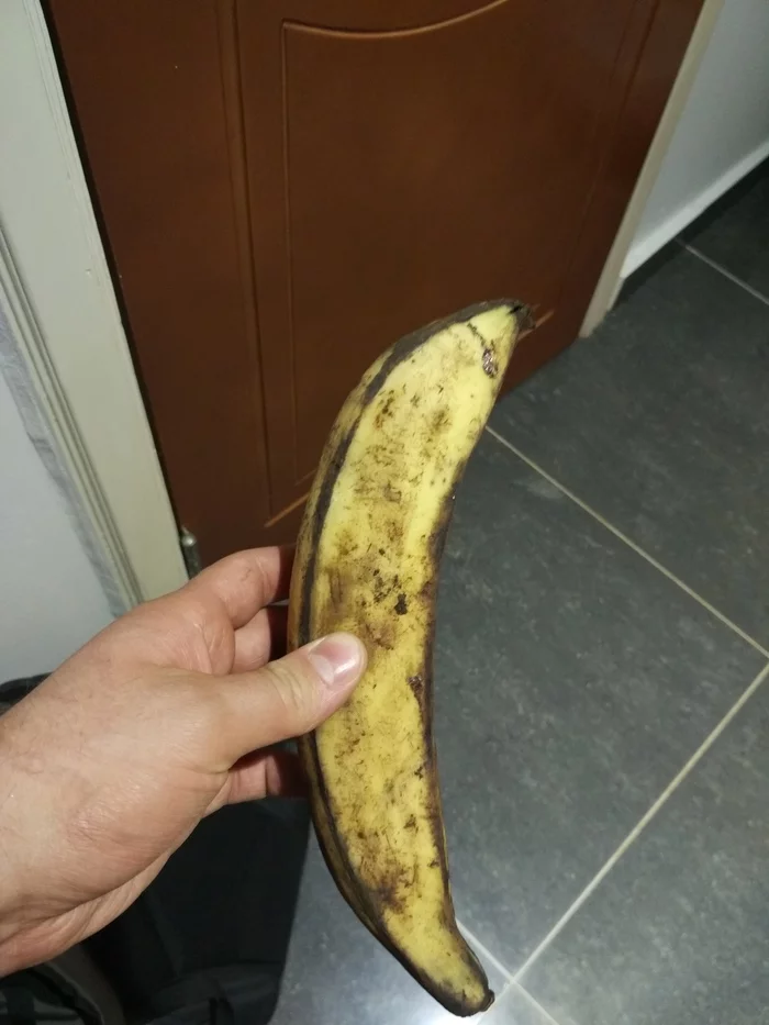 Страна молодых и «честных людей» (Буркина-Фасо) Африка, Путешествия, Буркина-Фасо, Длиннопост Страна молодых и «честных людей» (Буркина-Фасо) Африка, Путешествия, Буркина-Фасо, Длиннопост