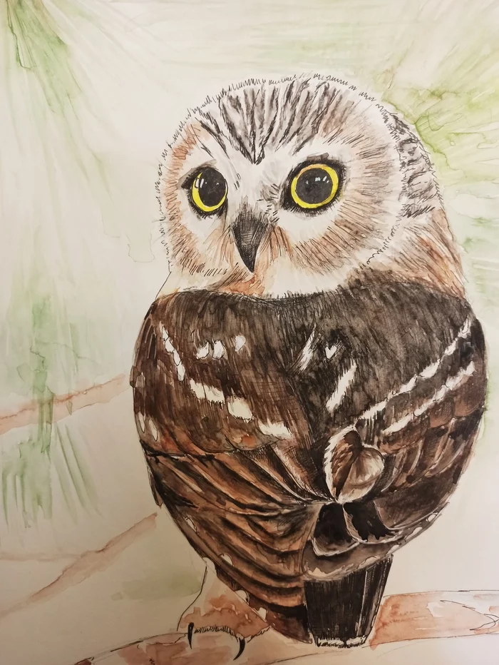 The process is endless - My, Drawing, Watercolor, Painting, Owl, I paint like a nerd