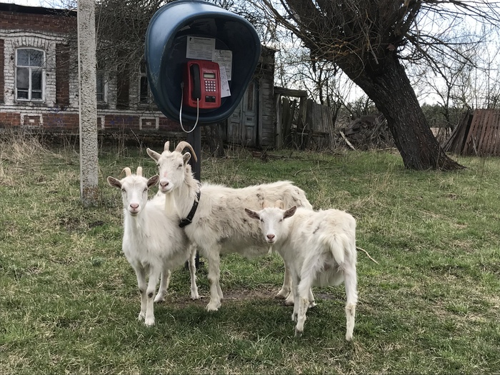 �����, �� ������� ���