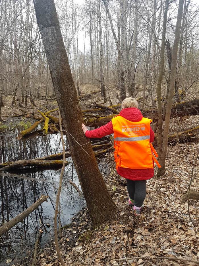 Self-isolation does not always happen at home... (Volunteer about the search) - My, Nizhny Novgorod, Missing person, People search, Volunteers, Longpost, Volunteering