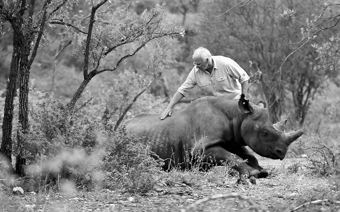 Ботсвана эвакуирует черных носорогов