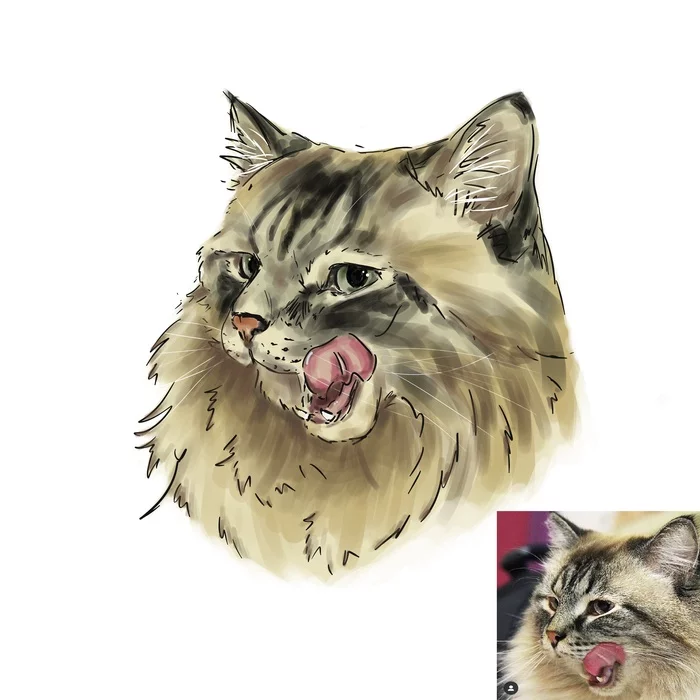 Koteyka - My, Digital drawing, Graphics, Animals, cat, Digital, Art