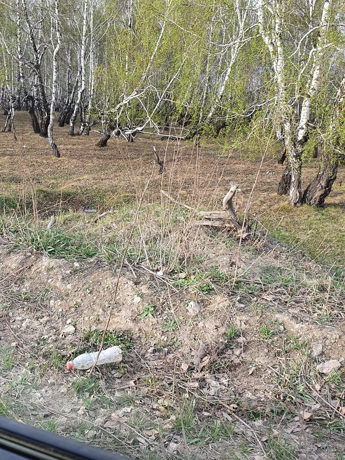 -Do you see the gopher? -No -But he is there! - My, Do you see a gopher?, Gopher, Animals, Quest, Nature, Search