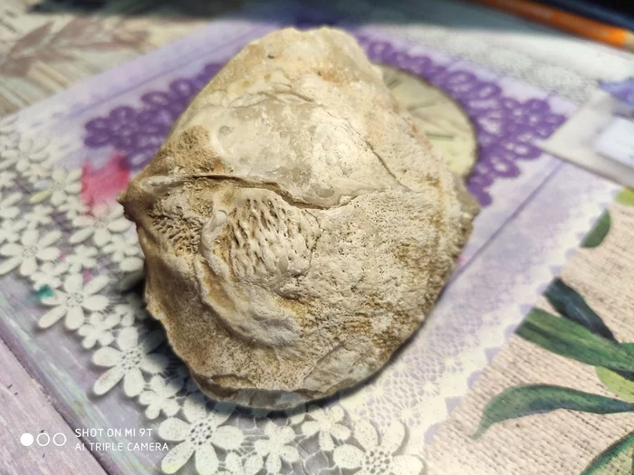 Hello, can you help me figure out what this is? - My, Natural stones, What kind of stone?