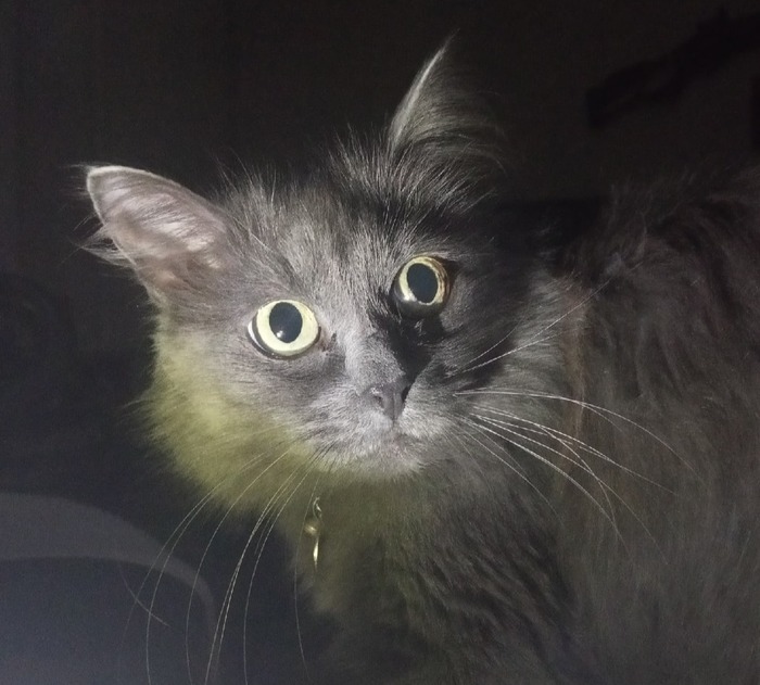 ����� �� ���� ���� ��������� �������!�