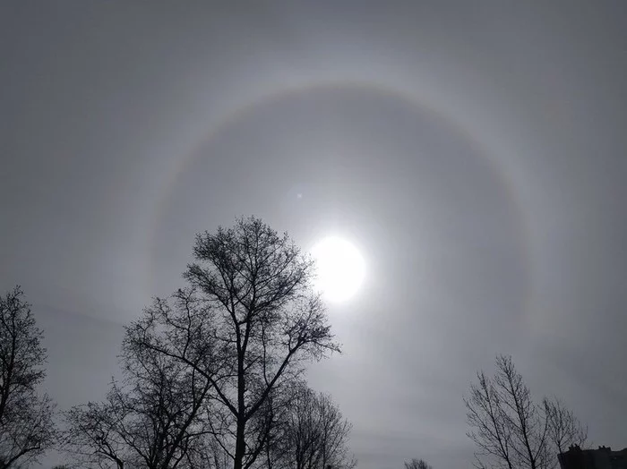 The Omen? Yes, sure! - Levashov Nikolay, Levashov, Life source, Halo, Saint Petersburg, news, Longpost