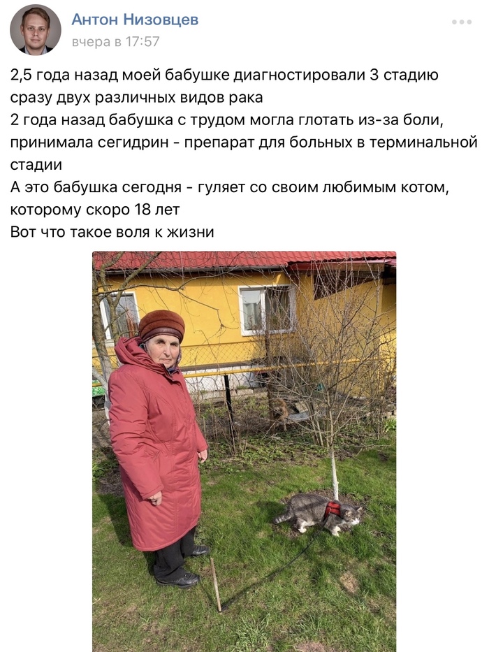 Фото Бабушек Стоящим Раком